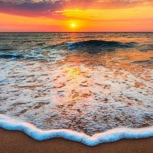 Meet your Posher, Shayla